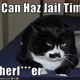 Image for article titled Cat Killer Captured In South Florida